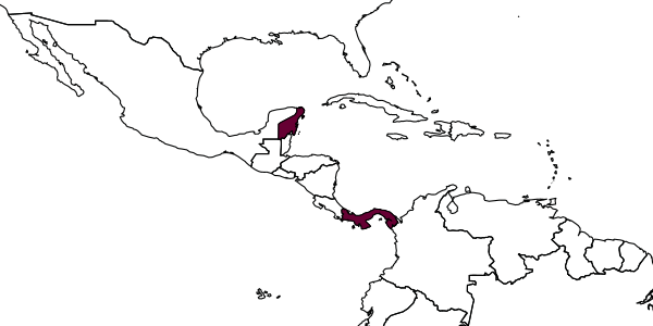 map of Enicospilus quintanai     Gauld, 1988